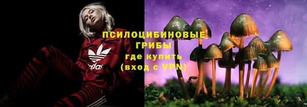 герыч Балахна